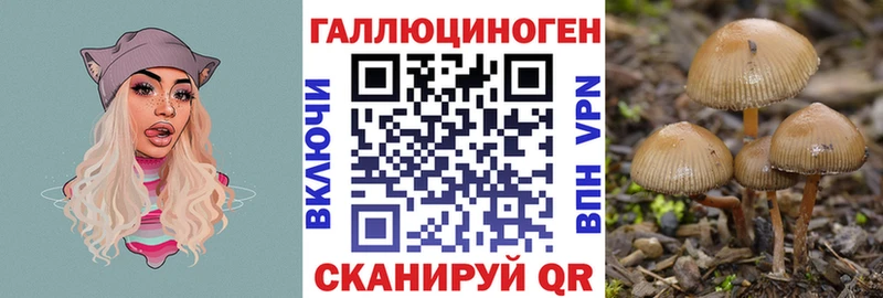 где можно купить   Лыткарино  Галлюциногенные грибы мицелий 